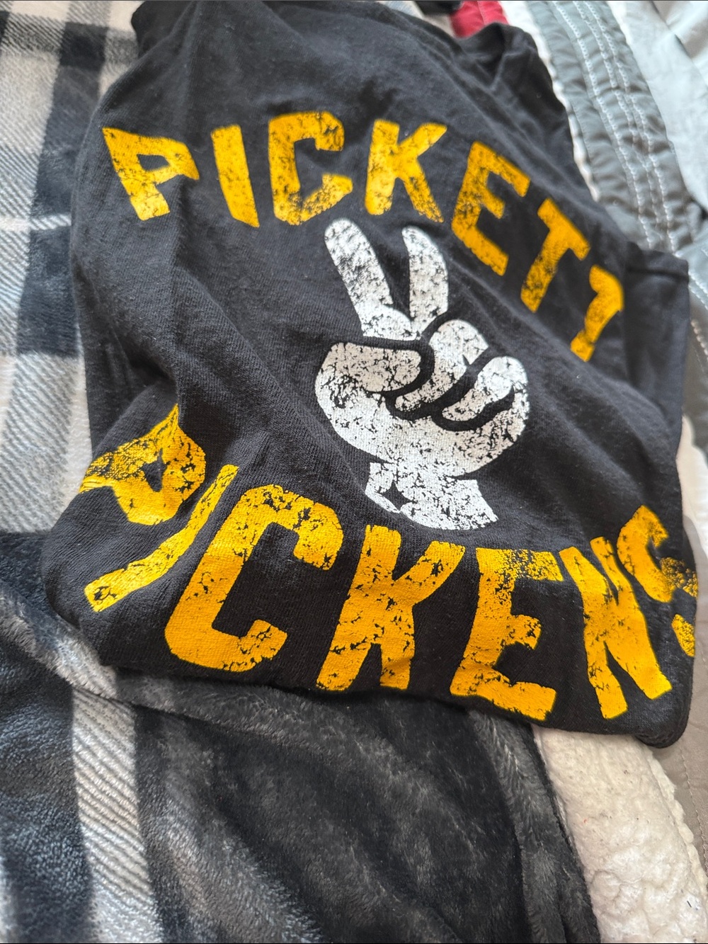 Pittsburgh Steelers Graphic Tee Pickett 2 Pickens